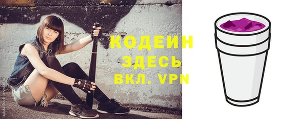 индика Балабаново