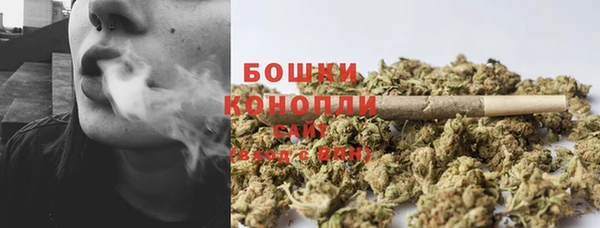 индика Балабаново