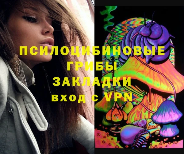 индика Балабаново